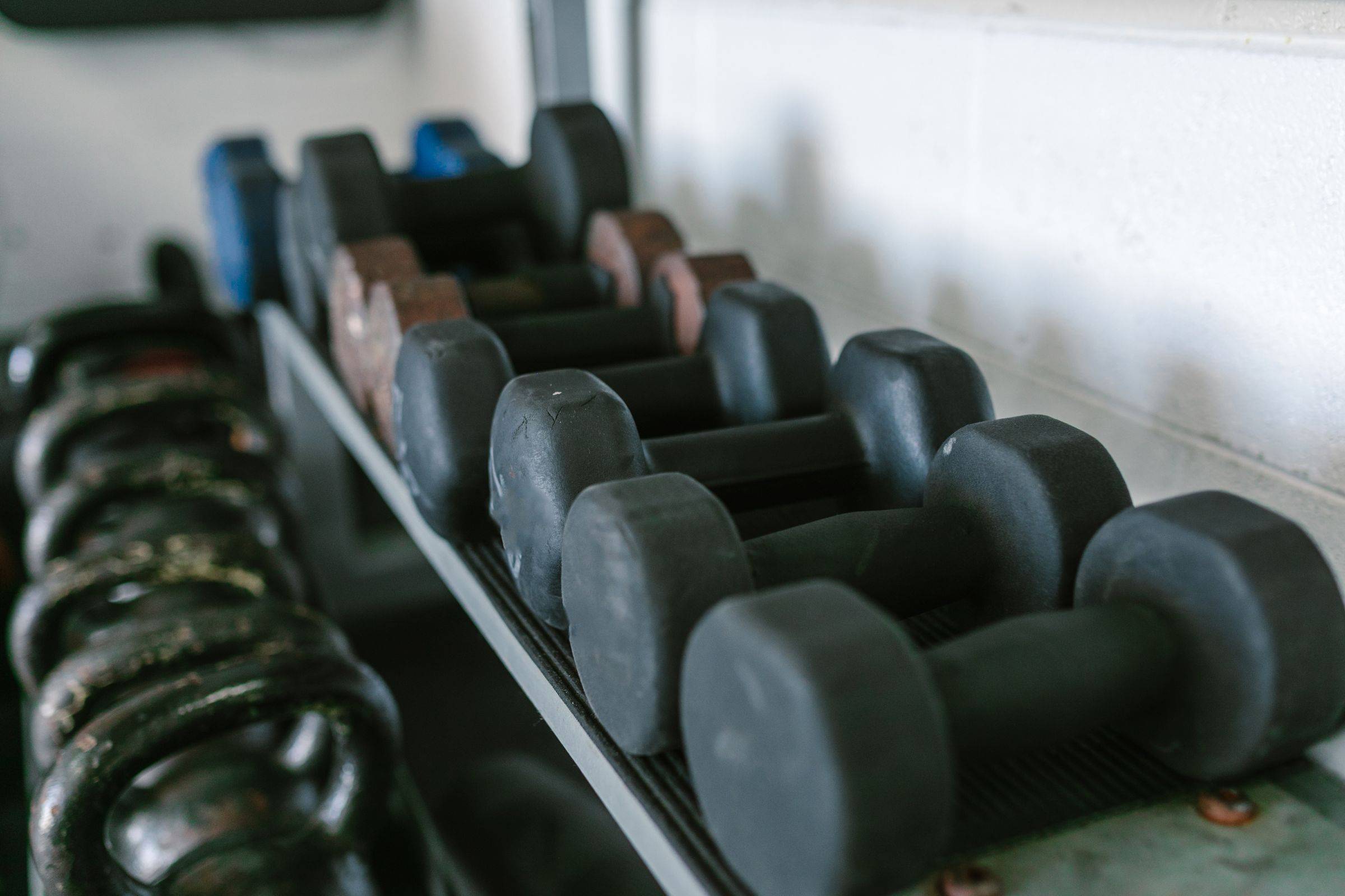 Dumbbells on a rack in a gym