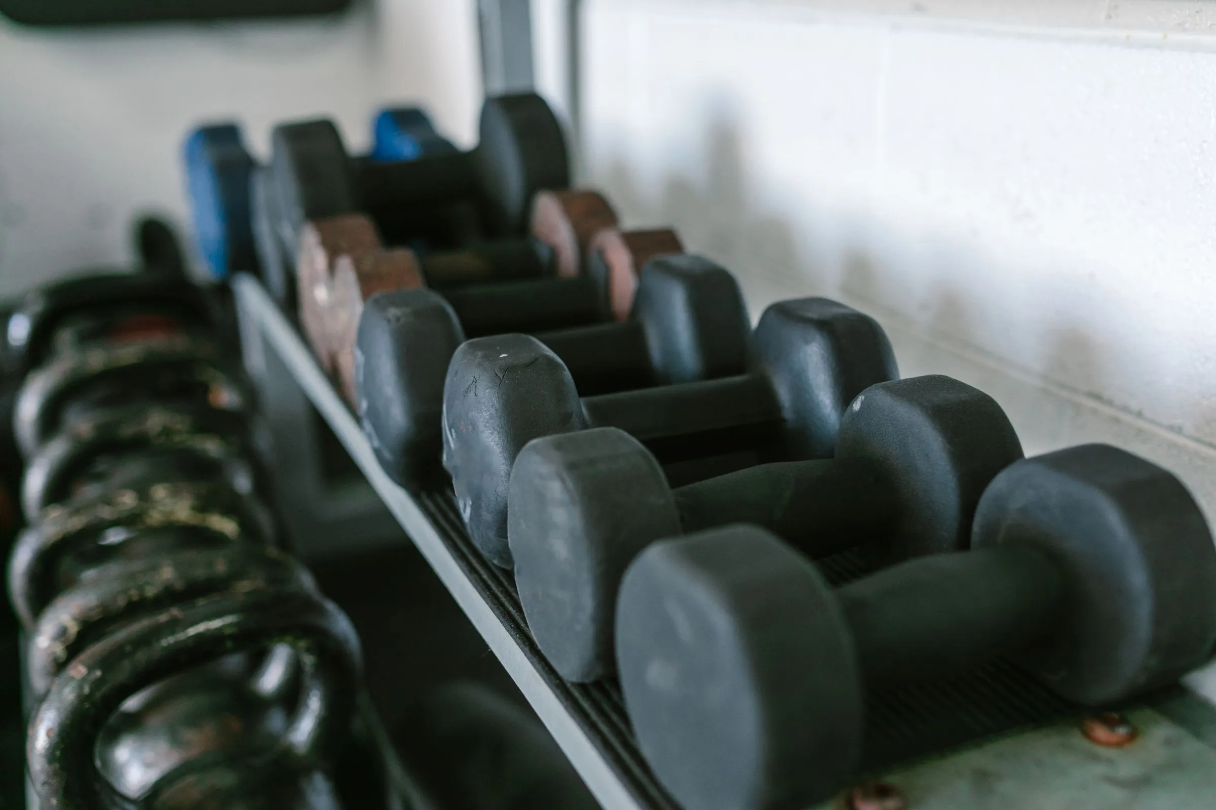 Dumbbells on a rack in a gym